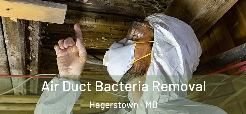  Air Duct Bacteria Removal Hagerstown - MD