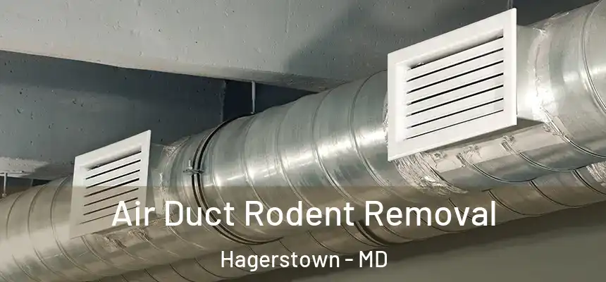  Air Duct Rodent Removal Hagerstown - MD