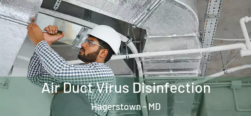  Air Duct Virus Disinfection Hagerstown - MD