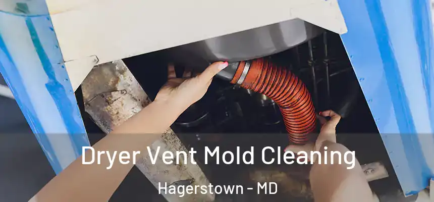 Dryer Vent Mold Cleaning Hagerstown - MD