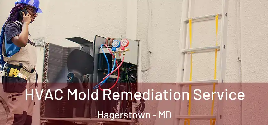 HVAC Mold Remediation Service Hagerstown - MD