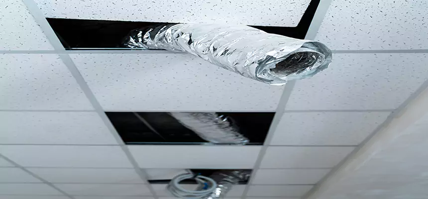 Affordable HVAC Sanitizing After Pest Removal in Hagerstown