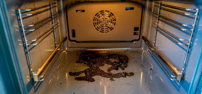 Our Dryer Vent Mold Cleaning Services in Hagerstown, MD