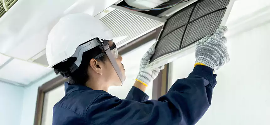 Our Mold & Mildew Removal from Air Ducts Services in Hagerstown, MD