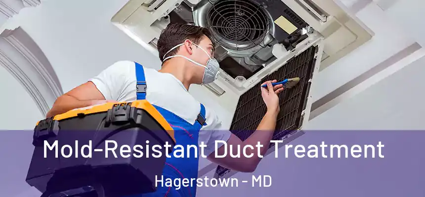 Mold-Resistant Duct Treatment Hagerstown - MD