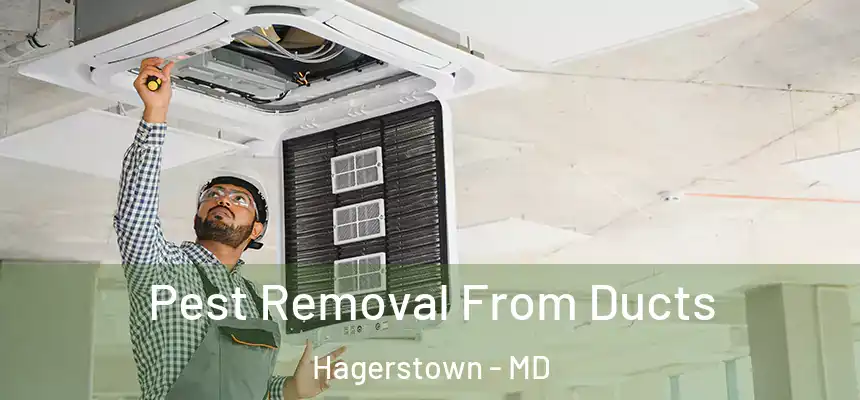 Pest Removal From Ducts Hagerstown - MD