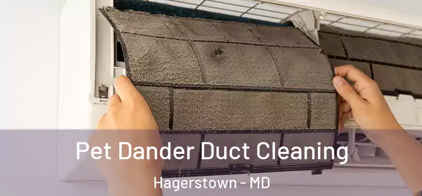  Pet Dander Duct Cleaning Hagerstown - MD