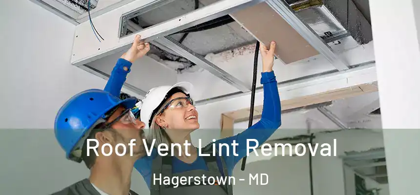  Roof Vent Lint Removal Hagerstown - MD