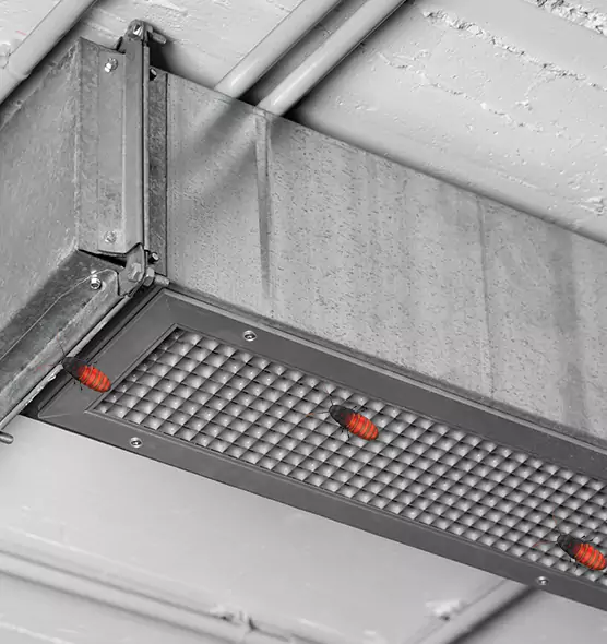 About Air Duct Cockroach Removal in Hagerstown, MD