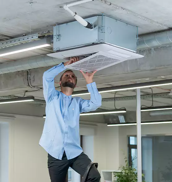 Advanced Rodent Droppings In Vents in Hagerstown, MD