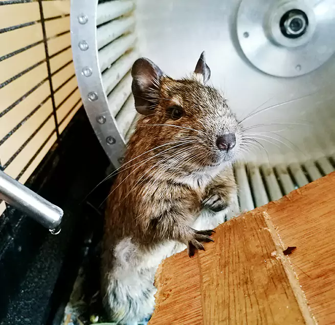 Why Homeowners & Businesses Trust Us Hagerstown, MD?